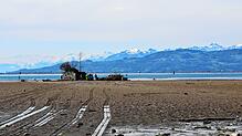 Reifenspuren im verlängerten Bodensee-Ufer: Seit Montag arbeiten die Mitarbeiter der Garten- und Tiefbaubetriebe Lindau an der Insel Hoy.
