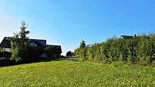 Im Anschluss an die Wohnbebauung Tummelhalde soll ein neues Wohnhaus gebaut werden. Foto: Albert Bantle