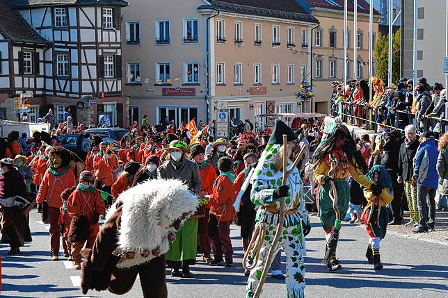 Bild 14: Bilder vom Fasnetssunntig in Markdorf