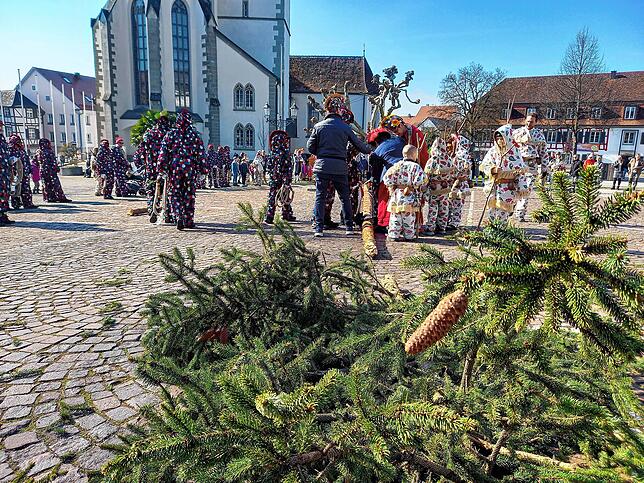 Bild 4: Narrenbaumfällen 2025 in Markdorf sorgt für närrische Stimmung