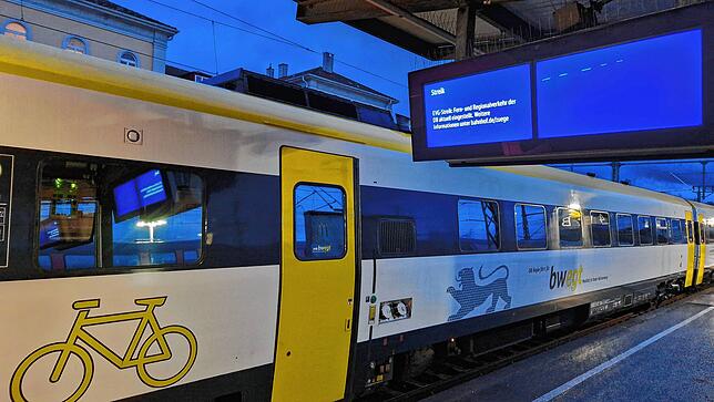 Hier geht heute nichts. Am Stadtbahnhof Friedrichshafen stehen die Züge still.