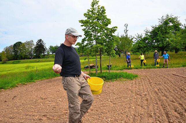 Bild 7: Neue Blühwiese in Markdorf: Wie die Blumen auf die Wiese kommen