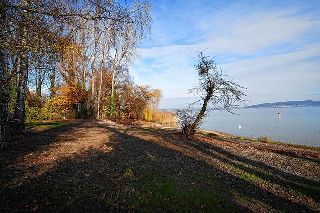 Diesen Blick in die Natur und auf den See können Urlauber und Einheimische ab April 2021 vom Campingplatz Litzelstetten aus genießen.