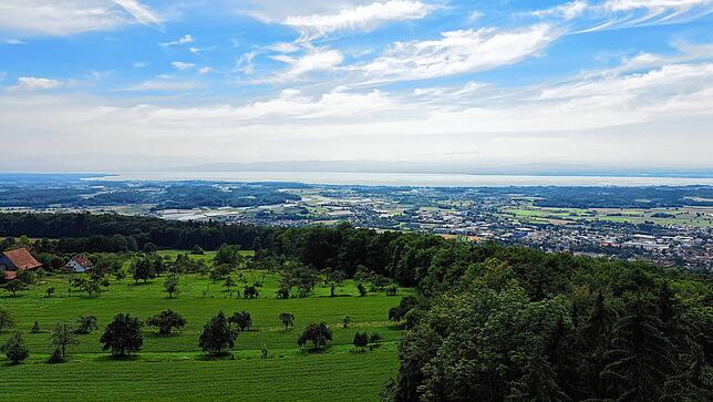 Die Aussicht vom Gehrenbergturm. 149 Stufen trennen Wanderer von dieser Aussicht. (Archivbild Sommer 2024)