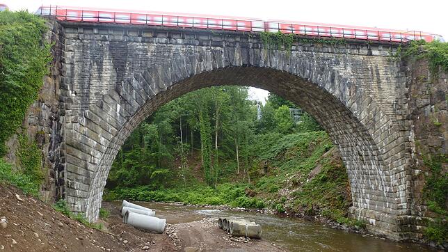 Nach wie vor setzt sich eine Bürgerinitiative in Albbruck für eine Sanierung der Eisenbahnbrücke von 1856 ein. Die Bahn dagegen will ...