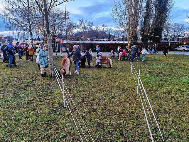 Hinter der Talwiesenhalle konnten die Besucher des Weihnachtsmarktes Ponys streicheln und Fotos machen.