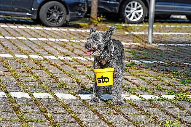 Poldi, der dreibeinige Müllaufspürhund, war auch unter den Müllsammlern.