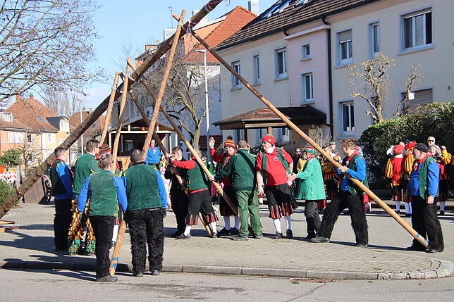 Bild 9: Radolfzeller Froschenzunft: So spektakulär wurde der Narrenbaum gestellt – alle Bilder!