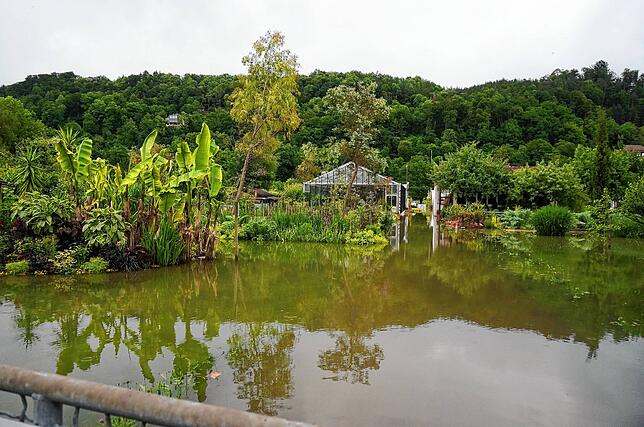 Land unter in Waldshut: Über die Ufer getretenes Rheinwasser und stark gestiegenes Grundwasser setzten am Samstag Teile der Schmittenau ...