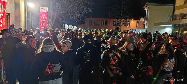 Bild 4: Guggenmusik & Narretei: So bunt war das Narrentreffen in Waldshut!