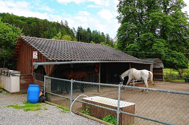 Die letzten Pferde müssen den Hof am 31. Juli verlassen haben – so hat es die zuständige Behörde festgelegt.
