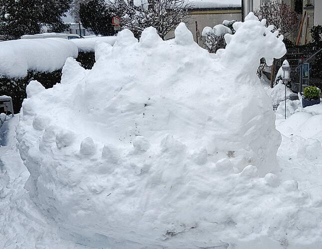 Bild 14: Ein Traum in Weiß: Das Konstanzer Wochenende im Schnee