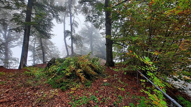 Auf dem Platz beim Felsen vor dem Beginn der abgesperrten Treppen liegt ein Gehölz-Bündel, das der Hubschrauber raustransportiert. Auf ...