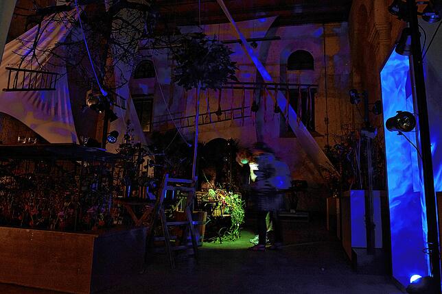 Bild 20: Lichtgestalten erobern das Gelände der Landesgartenschau &ndash; hier gibt es die Bilder