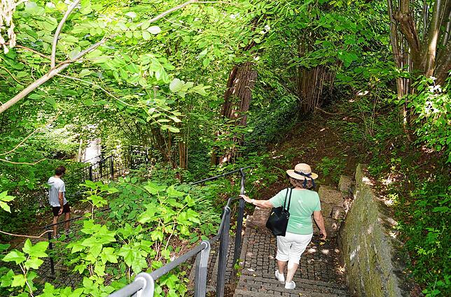 Urlauberin Katharina Gouders läuft auf ihrer Wanderung von Hagnau nach Meersburg durch den kleinen Tobel beim Höhenweg.