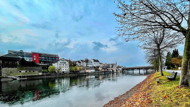 Der Rhein bei Diessenhofen würde sich laut Machbarkeitsstudie zur thermischen Nutzung von Bodensee und Rhein nicht nur für die Wärme- ...