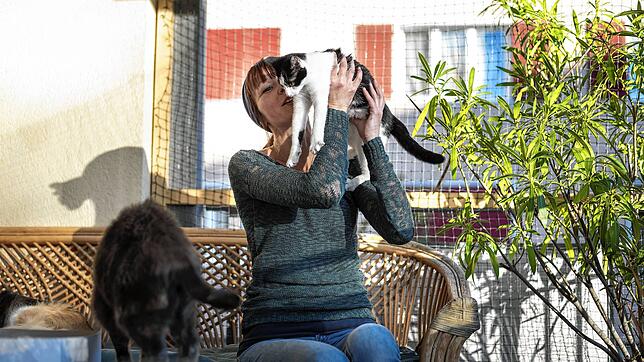 Therapeutin Fabienne Nigro hat selbst vier Katzen.