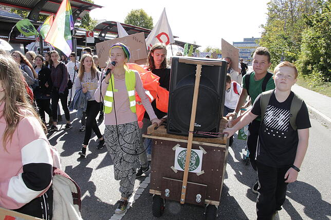 Bild 21: Bilder von der Fridays for Future-Demonstration in Villingen