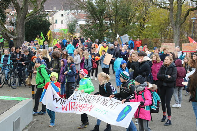 Bild 10: Fridays-for-Future geht in die nächste Runde: Bilder und Videos von der Demonstration in Radolfzell