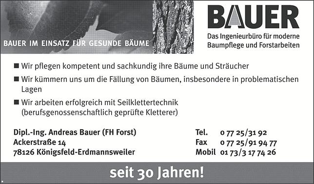 Bild 9: 50 Jahre Gesamtgemeinde Königsfeld: Von Benefizkonzert bis Blaulichtschau