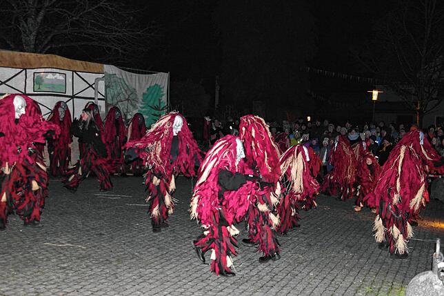Bild 17: Bilder von der Erweckung des Teuringer Johle in Oberteuringen