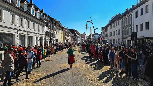 Bild 16: Fasnet 2025: Die schönsten Bilder vom Umzug in Hüfingen