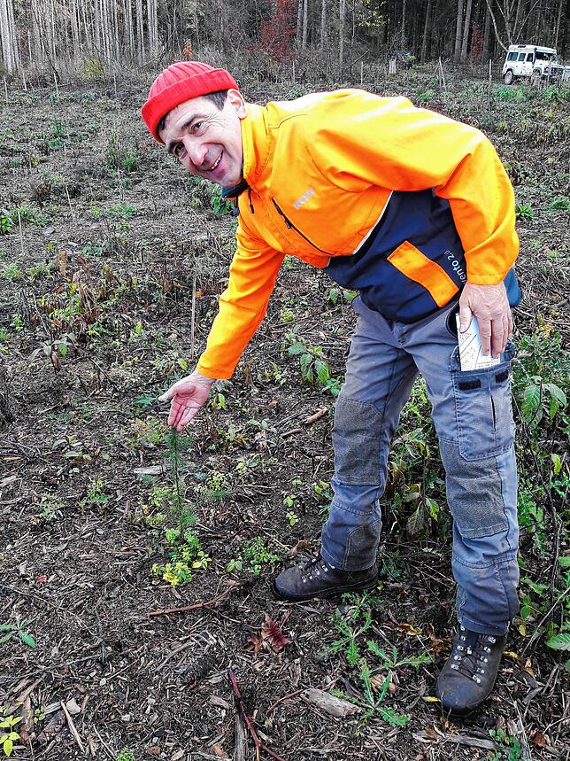 Andreas Ehring vor einer Douglasie. Auch dieser Baum könnte gerade in den südwestlichen Lagen des Schwarzwalds künftig öfters gepflanzt ...