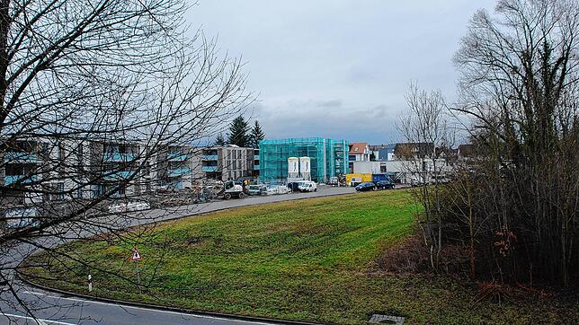 Dieses derzeit noch mit Wiese und Büschen bewachsene Grundstück neben der L220 und den Zugleisen prüft der Landkreis gerade auf ...