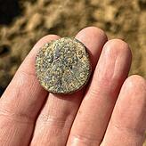 Kurioser Fund: eine 2000 Jahre alte römische Bronzemünze.