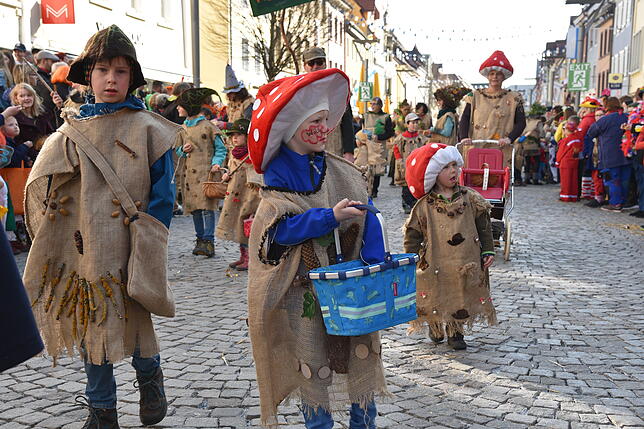 Bild 16: Bilder zum Kinderumzug in Villingen Teil 2