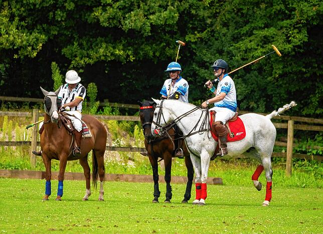 2024 hat der Polo Club Ettikoner Hof erstmals Turniere im Landkreis Waldshut veranstaltet. Mit Pferd, Reiter, Ball und Tor geht es in ...