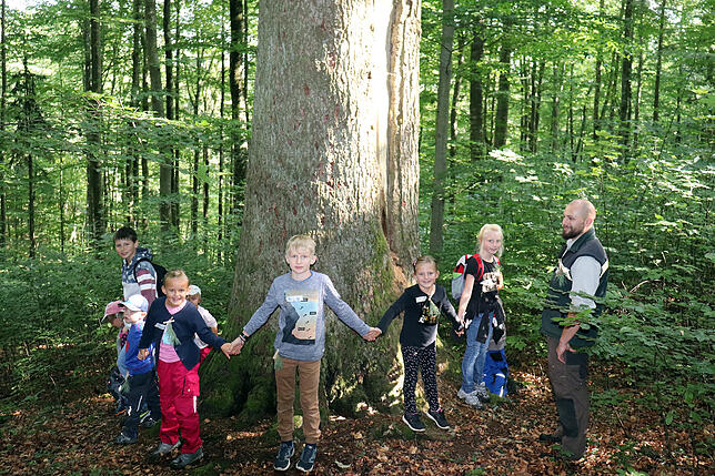 Johannes Maier (rechts) machte mit der Kiefergruppe einen Abstecher zur Jeisstanne, die über 220 Jahre alt ist und einen Umfang von über ...