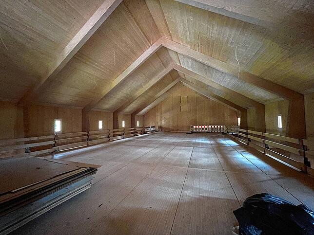 Im oberen Stockwerk des neuen Fasnachtsmuseums bildet die Rippenstruktur des Holzbaus eine Form, die fast an ein Kirchengebäude ...