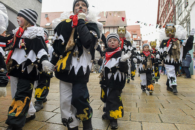 Bild 39: Tausende Hästräger und Musiker in Pfullendorf: Bilder vom Umzug (2)