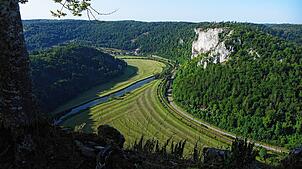 Blick von der Ruine Linzenberg auf das Versorgungsbiet des geplanten Masten am Lenzenfelsen.