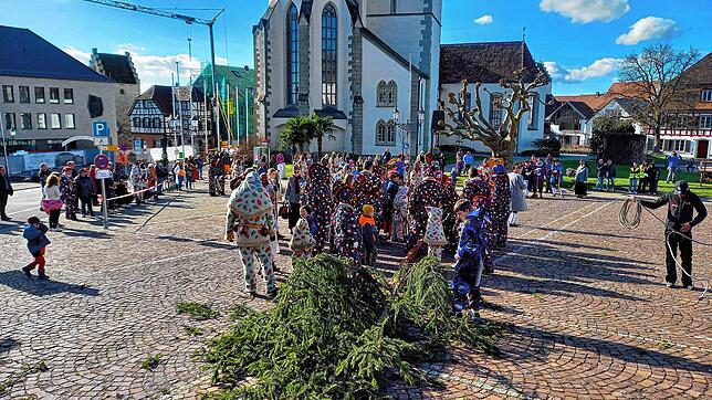 Kurz nach 14 Uhr liegt der Narrenbaum am Boden, das Ende der Fasnet 2024 ist eingeläutet. Viele Fasnetfans verfolgten bei schönstem ...