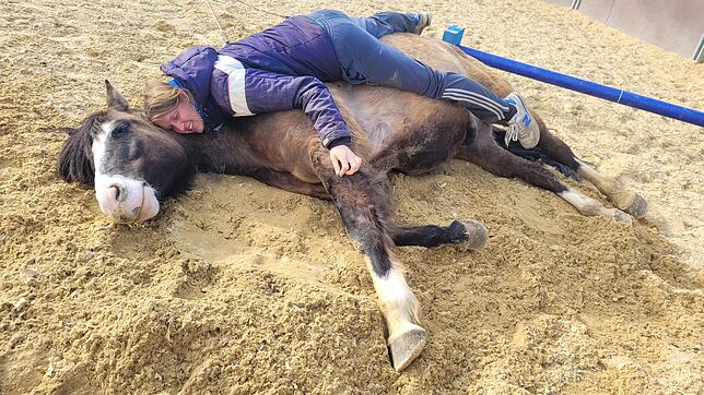 Manchmal sagt auch das Pferd Milan seiner Besitzerin Sarah Hagenauer, wo es langgeht. So wie in dieser Pause.