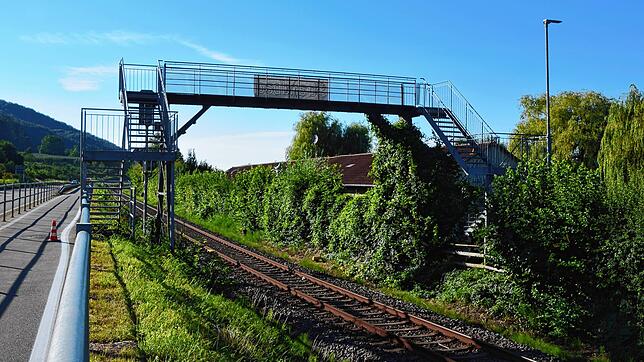 Wenn Stromleitungen für die Bodenseegürtelbahn kommen, muss die Fußgängerbrücke zum Strandbad Ludwigshafen erneuert werden, da sie zu ...