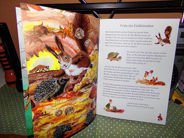 Das Kinderbuch „Die Elfenapotheke“ beinhaltet Geheimnisse der Helikräuter, die entsprechend illustriert wurden.
