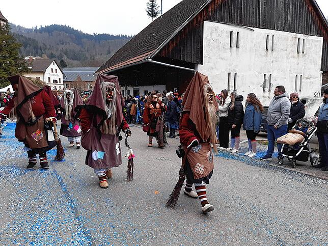 Bild 30: Die schönsten Bilder vom großen Habufa-Umzug in Hasel (1)