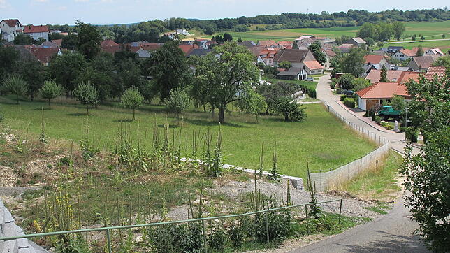 Auf dieser Wiese entsteht das Baugebiet &bdquo;Unter der Stelle II&ldquo;. Bis Frühjahr 2020 sollen die vorbereitenden Bauarbeiten ...