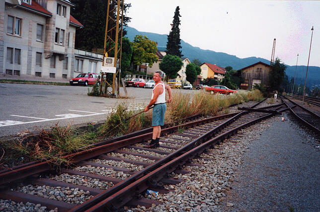 So sah die Gleisanlage beim Güterbahnhof aus. An der Güterstraße standen die Waggons zum Ausladen. Die Grünpflege erfolgte auf ...