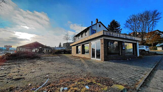 Bild 3: Wie im Dornröschenschlaf: So sieht das Gelände der ehemaligen Gärtnerei Lutz aus, das bald abgerissen wird
