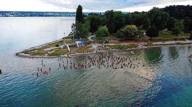 In Konstanz machten sich am Samstag für die Q5-Distanz beim Bodensee Openwater 180 Schwimmerinnen und Schwimmer morgens um 6.10 Uhr auf ...