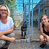 Julia Bierbach und Nicole Weber vom Vorstand des Tierschutzvereins Radolfzell. Im Hintergrund einer der Hunde des Heims, der besonders ...