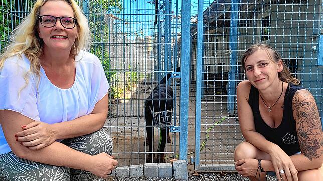 Julia Bierbach und Nicole Weber vom Vorstand des Tierschutzvereins Radolfzell. Im Hintergrund einer der Hunde des Heims, der besonders ...
