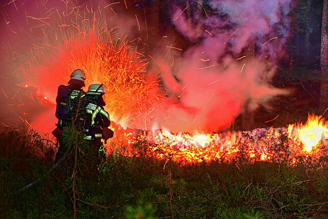 In Peterzell brennt im September ein zehn Meter breiter Holzstapel in einem Waldstück. Brandstiftung konnte damals nicht ausgeschlossen ...