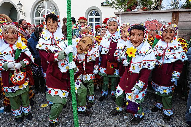 Bild 36: Fastnachtsumzug Radolfzell 2025: Alle Bilder vom farbenfrohen Spektakel