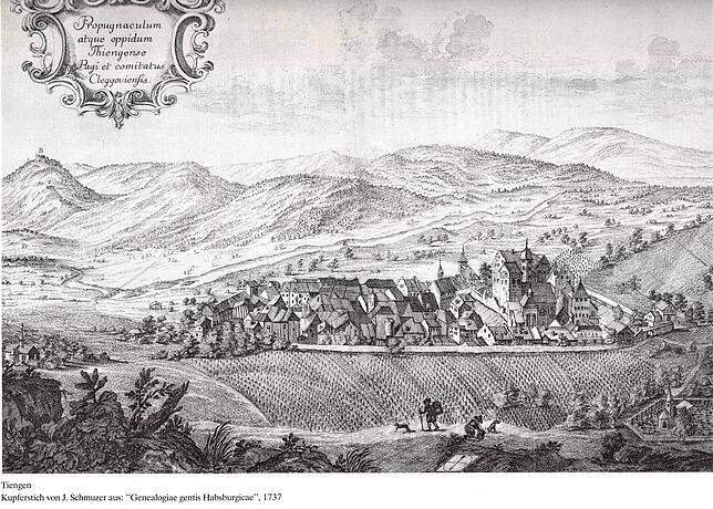 Auf diesem Kupferstich von 1737 hielt J. Schmuzer die Weinreben rund um die Stadtbefestigung von Tiengen fest.