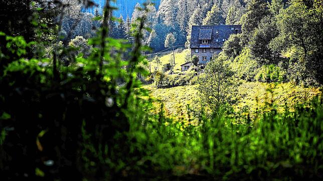 Im August 2023 wird das Gütenbacher Hübschental zum Tatort. Ein Mann, der dort zwei Feuer gelegt haben soll, ist nun verurteilt worden.